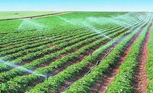 嗯啊鸡巴h视频农田高 效节水灌溉